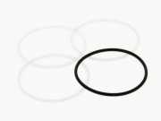 Blanco Quatura Dichtringset aus Kunststoffringen  Rev03 MZ (ab 04/2015)