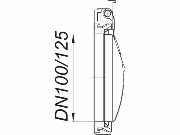 Dallmer Pendelklappe 2000 zu Stausafe DN 100/125 664419