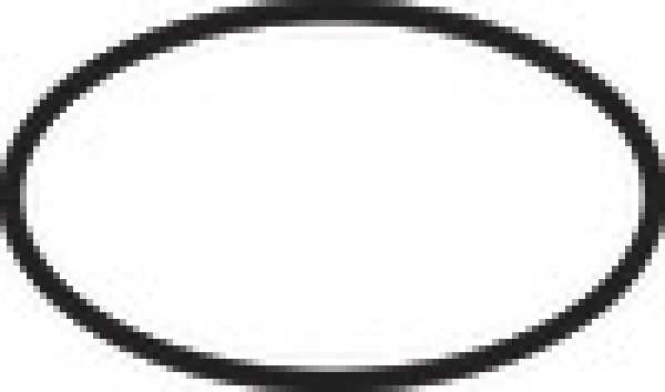 Hansgrohe O-Ring 98051000 32 x 2 mm