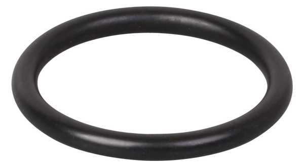 MHG O-Ring für Flansch 21,89 x 2,62