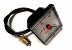 Remeha Manometer mit Tülle, S58938